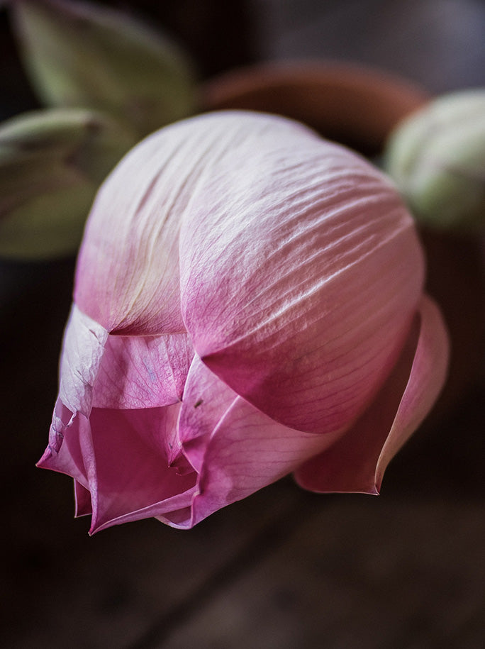 Lotus Silk Vegan Luxury Neckerchief Scarf- Loom Woven Organic